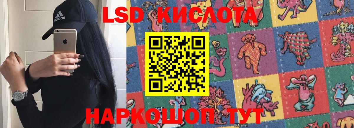 Псилоцибиновые грибы Сухой Лог