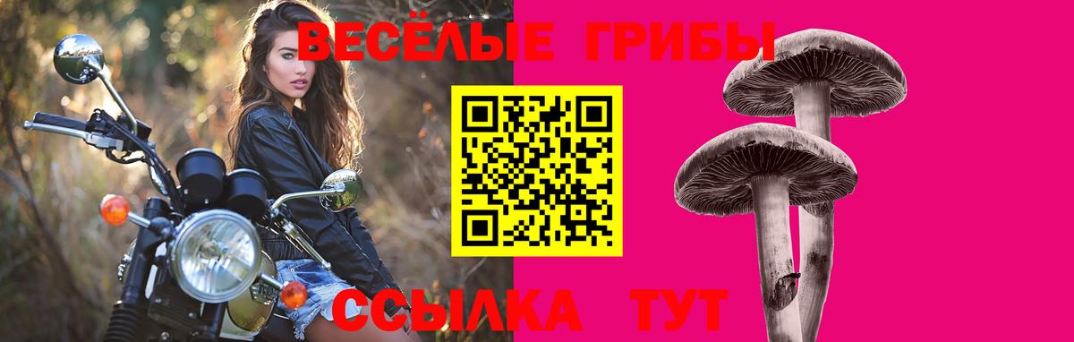 Псилоцибиновые грибы ЛСД  Вход с VPN  Сухой Лог  купить наркоту  Галлюциногенные грибы GOLDEN TEACHER 