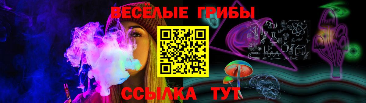 Псилоцибиновые грибы GOLDEN TEACHER Сухой Лог